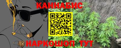 индика Усть-Илимск