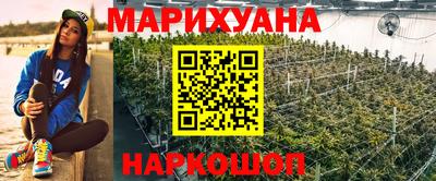 индика Усть-Илимск