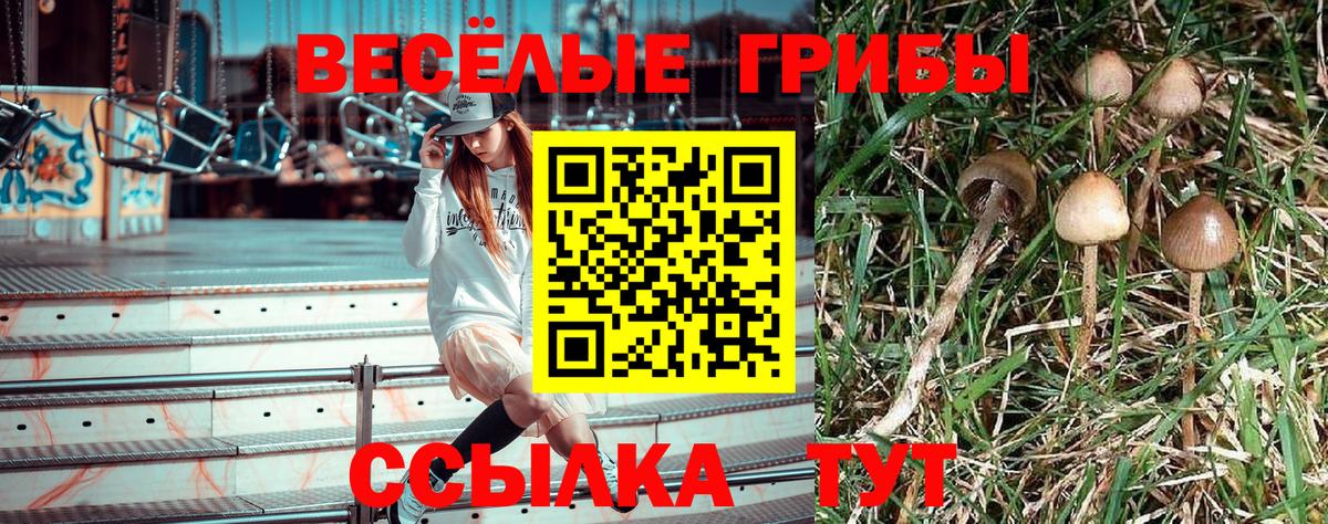 Галлюциногенные грибы Psilocybe  Псилоцибиновые грибы прущие грибы  Анжеро-Судженск  Вход с VPN 